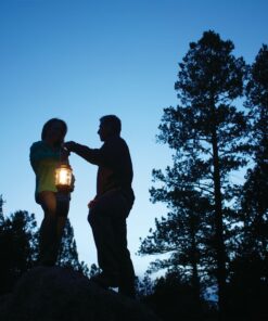 Alternative view of NorthStar® 1500 Lumens 1-Mantle Propane Lantern