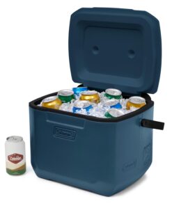 Chiller™ 16-Quart Portable Cooler