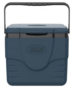 Chiller™ 9-Quart Portable Cooler